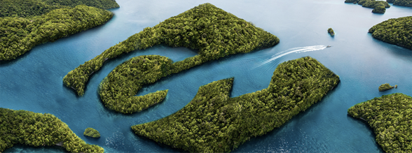 �N�۾W�j